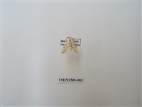 藏品(擬姬白望燈蛾)的圖片